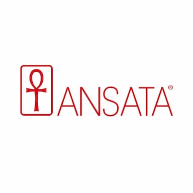 placement partner logo
